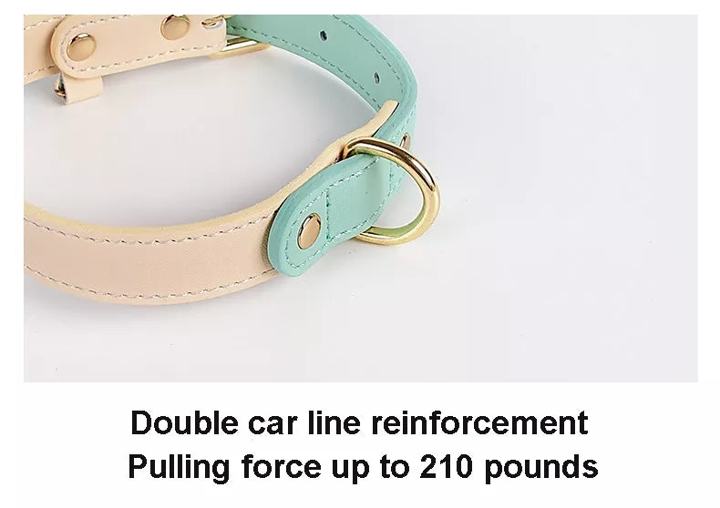 Two Toned - Genuine Leather Collar & Leash Set