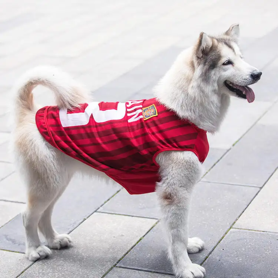Breathable Soccer / Sports Jerseys For Dogs - Collection $19.99