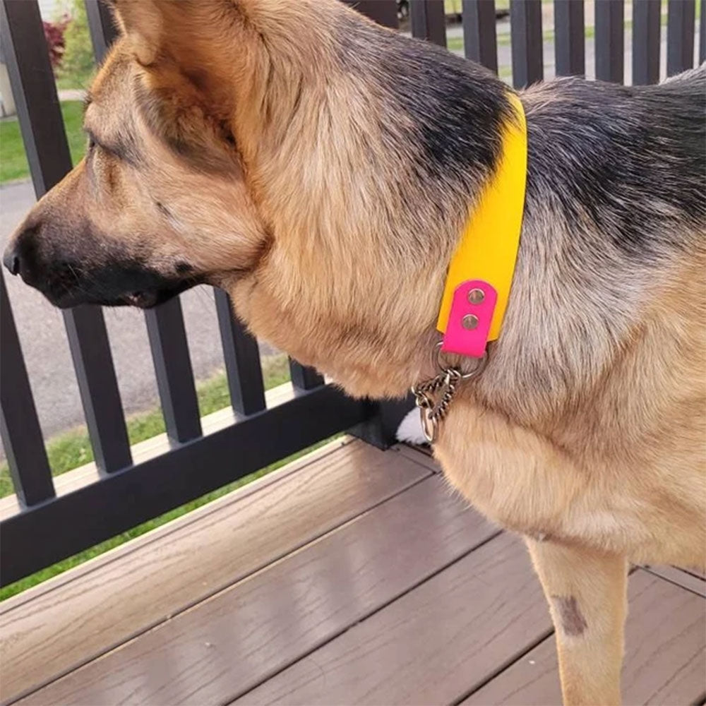 Burgundy Collar & Leash Set