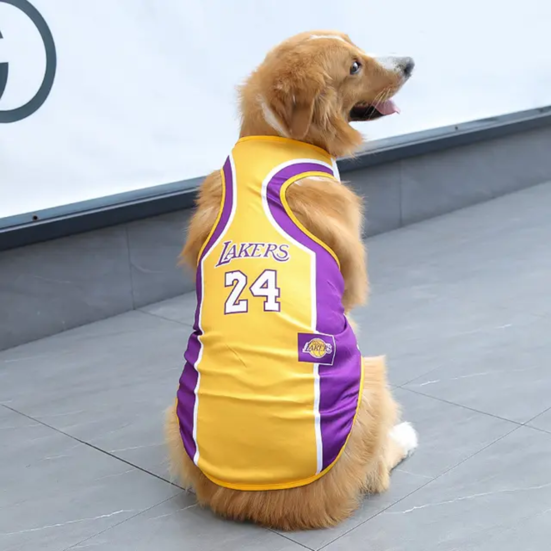 Breathable Soccer / Sports Jerseys For Dogs - Collection $19.99