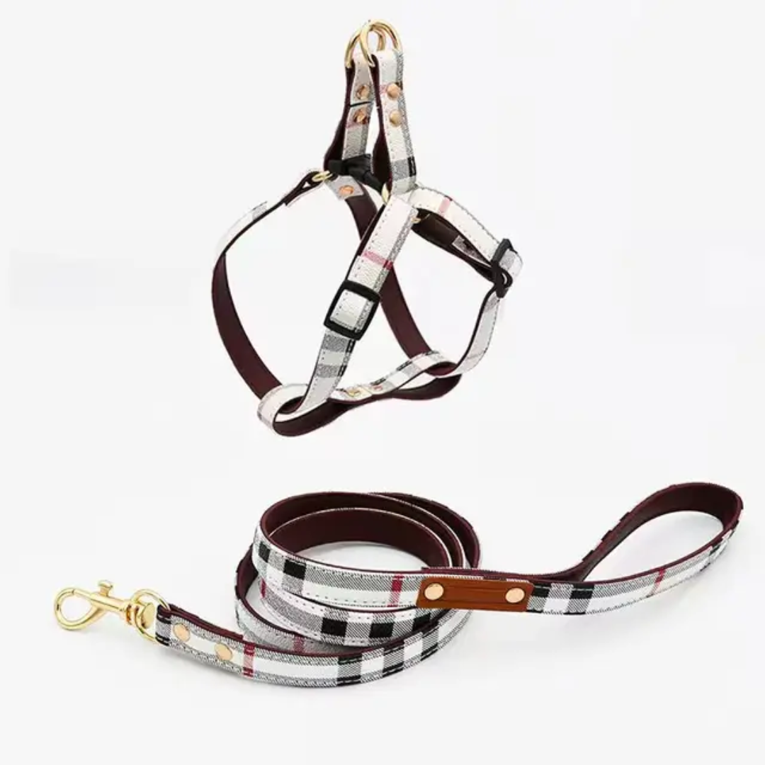 Premium Luxury Print Collar & Leash Set - Beige