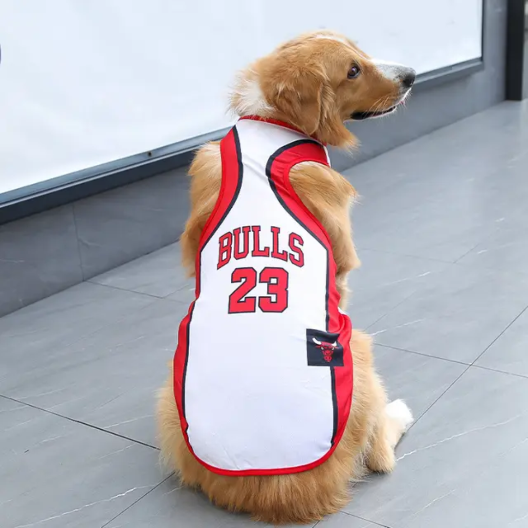 Breathable Soccer / Sports Jerseys For Dogs - Collection $19.99